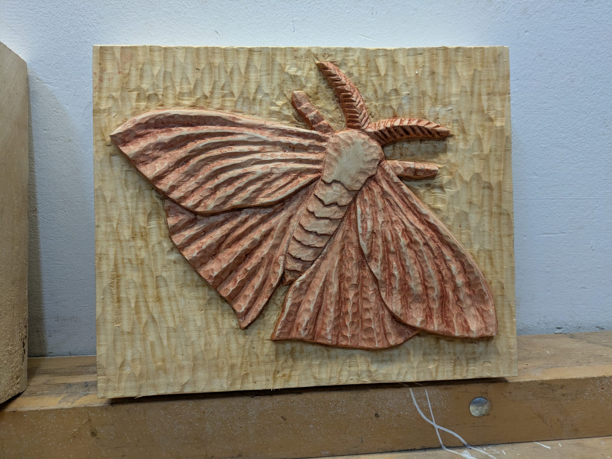 Houtsnijden kort basiscursus - Harry Leurink