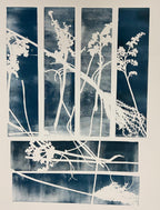 Monoprinten - Baukje Duin