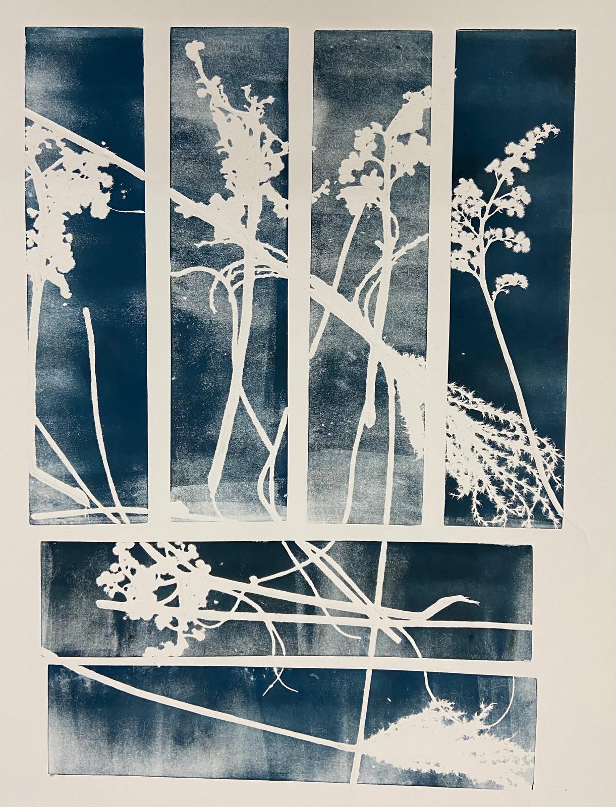 Monoprinten - Baukje Duin