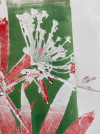 Monoprinten - Baukje Duin