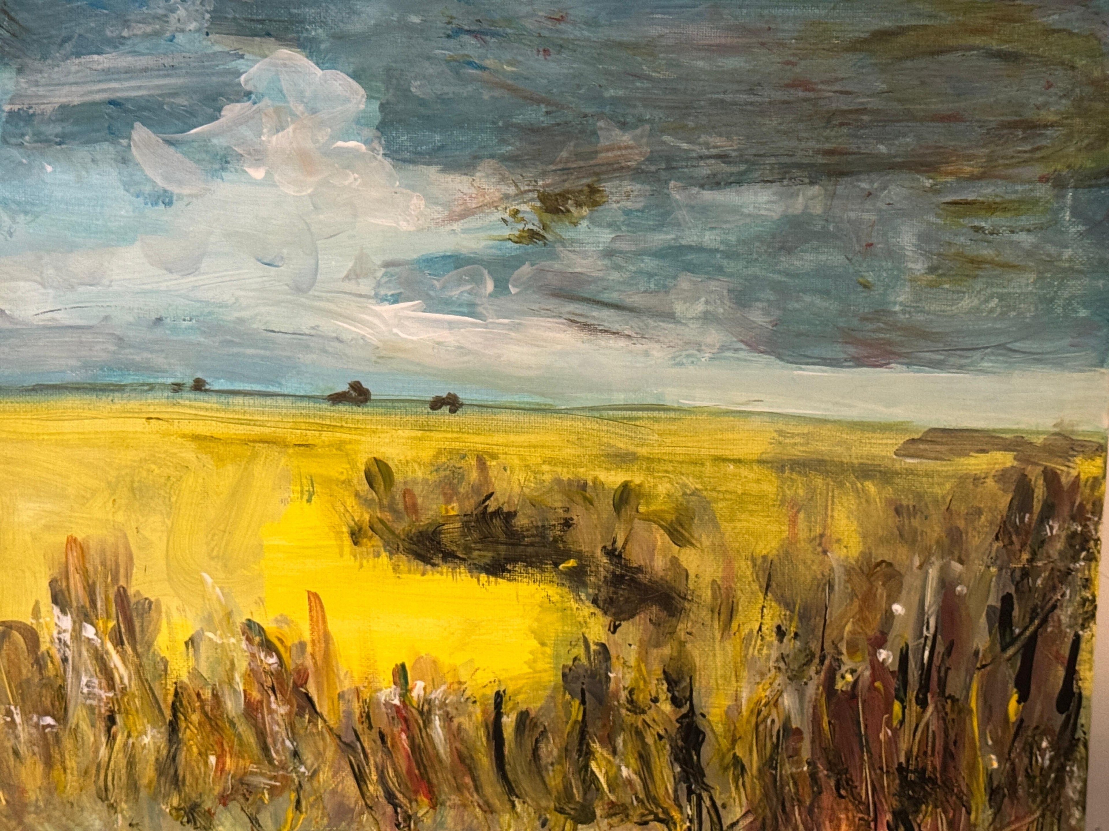 Landschap en Portret basiscursus - Camille van Neer